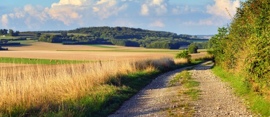 Les prix des terres agricoles ont encore augmenté en 2024 !