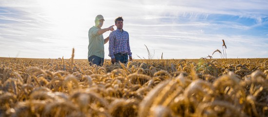 À quel moment peut-on insérer une clause de reprise sexennale dans un bail rural ?