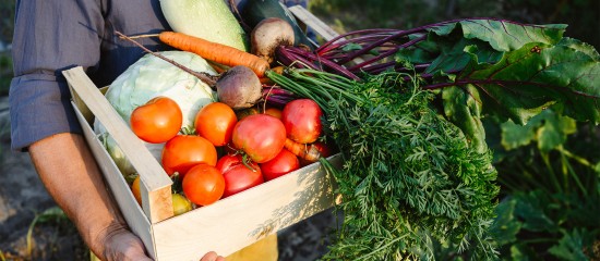 Exercice d’une activité commerciale accessoire par une société agricole : du nouveau !